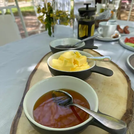 Vendégház Rilindja *