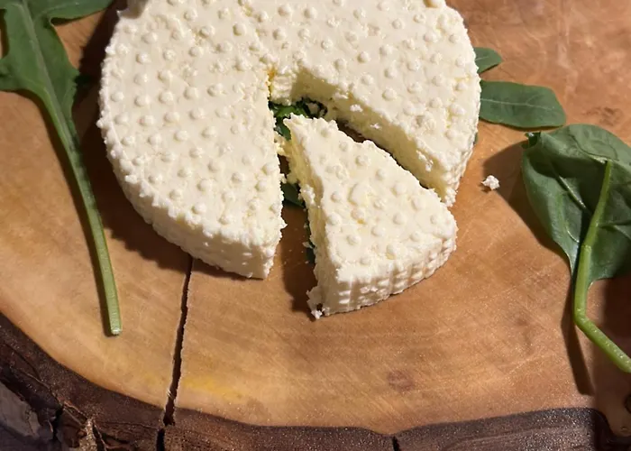 Rilindja Pensjonat *